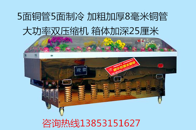 钛金板冰棺（加深耐用）