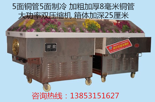 分体式冰棺（加深耐用）