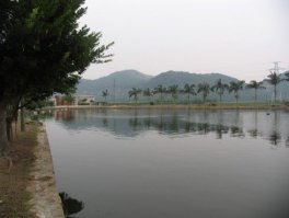 汕头市澄海区莲下镇槐南村委会老年人协会